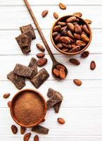 cacao en poudre et fèves