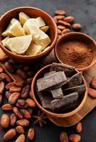 fèves de cacao, beurre et chocolat photo
