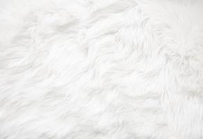 texture de fourrure blanche photo