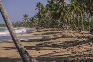 playa limon en république dominicaine 19 photo