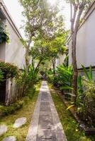 magnifique vert tropical jardin Extérieur véranda avec écologique les plantes entouré la nature dans Asie photo