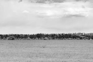 beau paysage d'horizon dans la prairie du village sur fond naturel de couleur photo