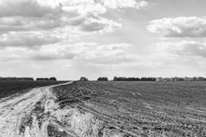 photographie sur le thème grand champ de ferme vide pour la récolte biologique photo