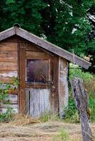 jolie auto-construit en bois cabine dans une boisé jardin photo