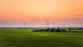 vue de turbine vert énergie électricité, Moulin à vent pour électrique Puissance production, vent turbines générateur électricité sur riz champ à phan a sonné, neuf thuan province, vietnam photo