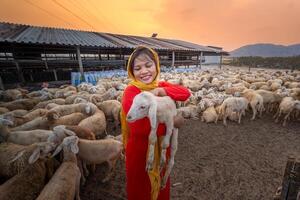 vietnamien femme avec agneau sur une campagne, une mouton ferme dans le steppe zone dans neuf thuan province, vietnam. photo