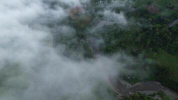 aérien vue de le route dans le forêt avec brouillard et nuage photo