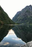 vue de geiranger fjord de le bateau, occidental fjords, Norvège. Hardanger fjord paysage. scandinave montagnes de ensoleillélvsfjorden canyon photo