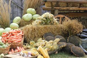 Frais biologique des légumes sur agriculteur marché. local ferme bazar. assortiment de Frais biologique récolte jardin produire. bio des produits, bio écologie. Naturel en bonne santé nourriture festival. agricole rustique juste photo