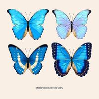 morpho papillon art dans différent espèce photo