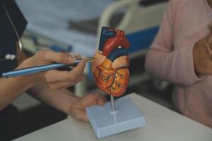 médecin montrant interne organes dans 3d Humain modèle. femme avec stéthoscope dans laboratoire manteau séance à table avec portable et parlant à propos gens anatomie. santé se soucier et médical éducation concept. photo