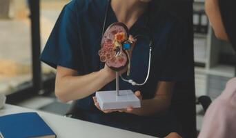 médecin montrant interne organes dans 3d Humain modèle. femme avec stéthoscope dans laboratoire manteau séance à table avec portable et parlant à propos gens anatomie. santé se soucier et médical éducation concept. photo