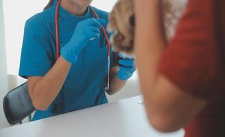 fermer coup de vétérinaire mains vérification chien par stéthoscope dans vétérinaire clinique photo