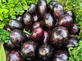 Capturer de Frais brinjal stalle pour vente sur stalle dans rue nourriture marché. local super marché. photo