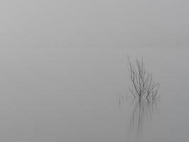 brume sur l'eau, bellus, espagne photo