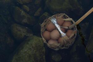 des œufs dans une panier tremper dans le chaud ressorts. à chae fils nationale parc Thaïlande. photo