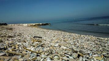 giulianova plage dans abruzzes photo