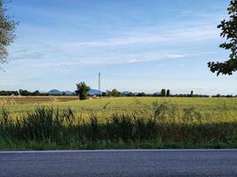 agriculture champ et rue 2 photo