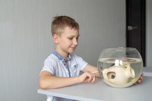 une mignonne garçon est séance près une transparent aquarium dans le pièce et tapoter sur le aquarium avec le sien doigt photo
