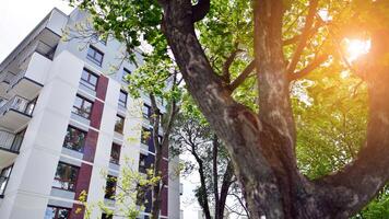 moderne Résidentiel bâtiment avec Nouveau appartements dans une vert Résidentiel zone. éco architecture. vert arbre et Nouveau appartement bâtiment. le harmonie de la nature et la modernité. photo