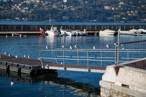 magnifique alpin nature, montagnes Contexte avec bateaux amarré dans Lac Côme Marina. piéton pont pour embarquement une navire avec mouettes séance dans une rangée photo