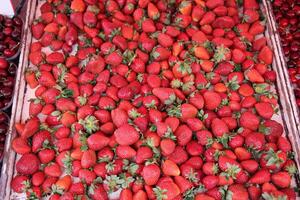 des fruits et des légumes sont vendu à une bazar dans Israël. photo