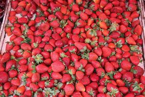 des fruits et des légumes sont vendu à une bazar dans Israël. photo