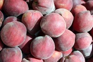 des fruits et des légumes sont vendu à une bazar dans Israël. photo