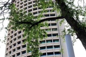 bâtiments et les structures dans tel aviv contre le Contexte de branches et feuilles de grand des arbres. photo