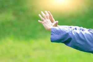 tai chi chuan au soleil dans la nature photo