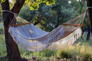 femme relaxant dans une hamac enfilé entre deux paume des arbres, une livre dans sa main photo