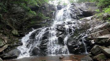 majestueux cascade en cascade vers le bas couvert de mousse rochers dans rafraîchissant bassin au dessous de photo