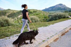 peu enfant fille en marchant sa chien sur le ville rue. adorable enfant profiter dépenses temps avec sa pedigree de race cocker épagneul, avoir avec avec sa animal de compagnie en plein air. en jouant animaux domestiques et gens concept photo