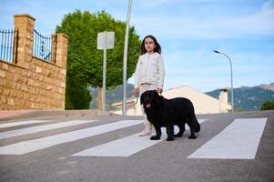 peu enfant fille en marchant sa chien sur le ville rue. en jouant animaux domestiques et gens concept photo