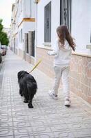 plein longueur arrière vue de une mignonne peu enfant fille dans tenue de sport, en marchant sa chien, une de race noir cocker épagneul sur laisse sur le rue. gens et animaux. en jouant animaux domestiques concept photo