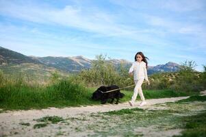 adorable européen enfant fille en marchant sa pedigree chien, une noir de race cocker épagneul dans le collines montagnes la nature en plein air sur une ensoleillé journée. personnes. la nature et en jouant animaux domestiques concept photo