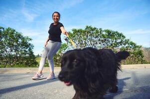 content femme en marchant sa chien en plein air. jolie femelle athlète habillé dans gris leggings et noir T-shirt, en marchant sa cocker épagneul animal de compagnie sur laisse photo