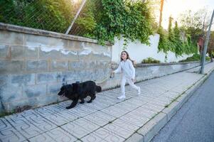 mignonne enfant fille en marchant sa chien sur le rue contre une pierre clôture Contexte photo