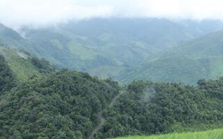 riz terrasses et blé champ avec panorama coup sur Montagne dans nan province, nord de Thaïlande. photo