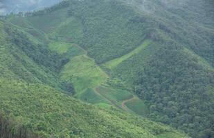 paysage de plantation zone parmi vert forêt sur compliqué colline dans nan province, nord de Thaïlande. photo