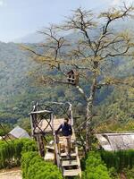 surabaya, Indonésie 27 août 2023 - Naturel touristique Emplacements avec beaucoup Emplacements à prendre des photos et prendre plaisir le paysage