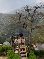 surabaya, Indonésie 27 août 2023 - Naturel touristique Emplacements avec beaucoup Emplacements à prendre des photos et prendre plaisir le paysage