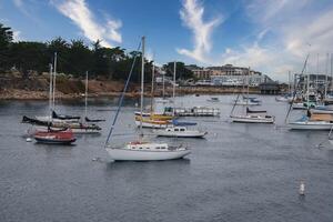 serein Marina avec bateaux et yachts dans calme des eaux, nuageux ciel, verdure doublé rive. photo