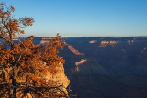 grandiose canyon le coucher du soleil voir, spectaculaire paysage, tomber paysage. photo