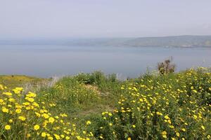 Lac Kinneret. le des lacs littoral est le le plus bas masse continentale sur Terre photo