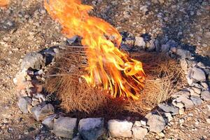 une Feu cette des brûlures tout cette brûlures. photo