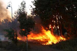 une Feu cette des brûlures tout cette brûlures. photo