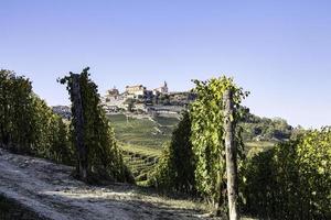 paysages des langhes piémontais avec ses vignes en automne, pendant les vendanges photo