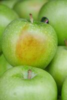 empiler de pourri Pomme dans une bol photo