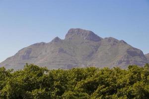 montagnes, parc national de tablemountain, le cap, afrique du sud. photo